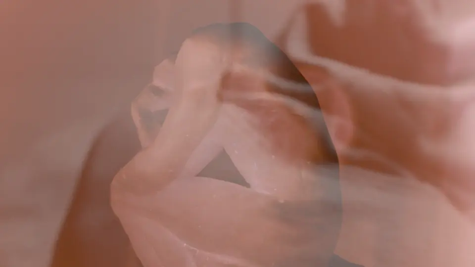 NAST – ARCHIVES